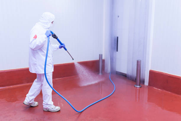 Best Rust Removal  in Jamestown, NY